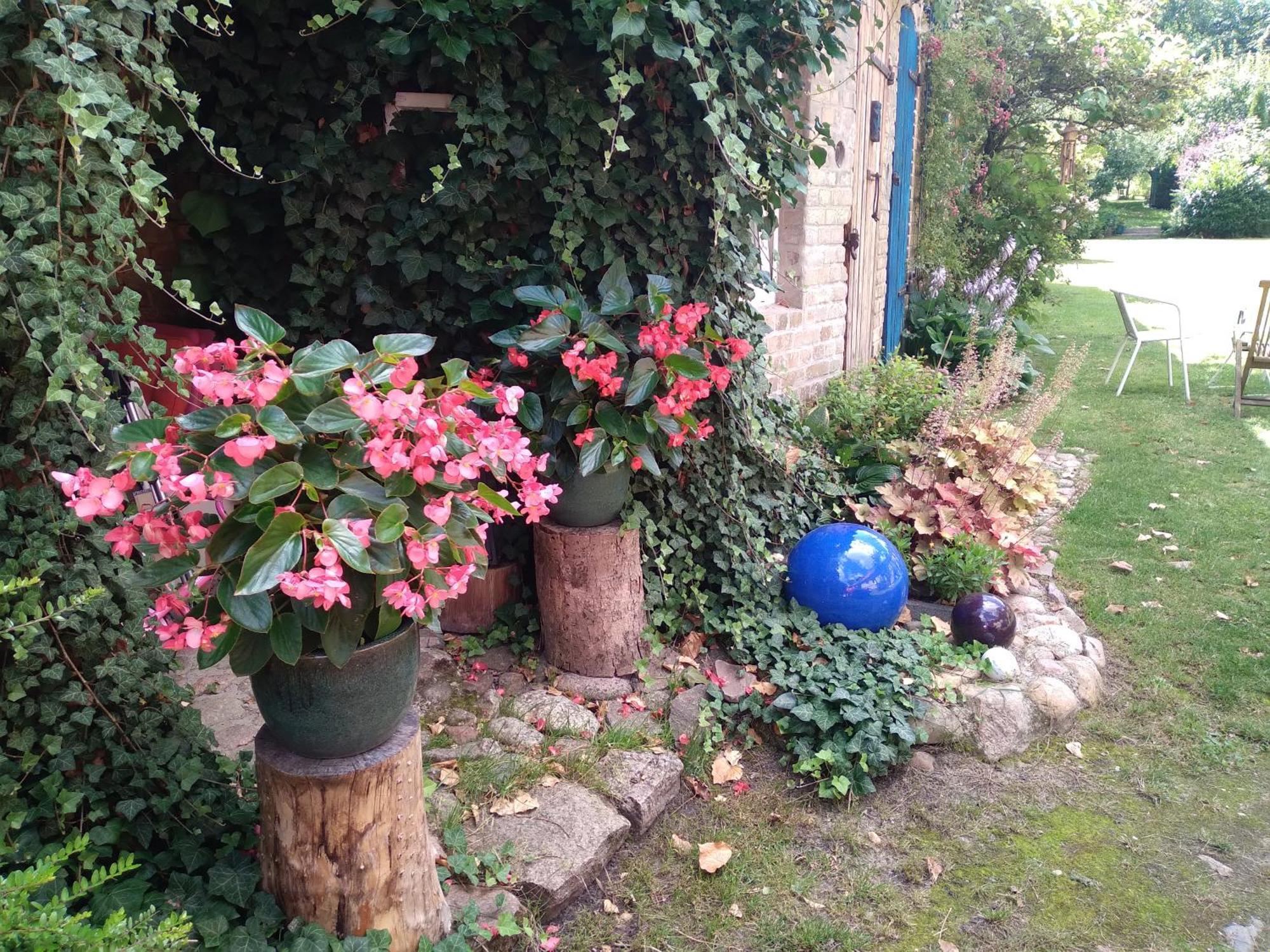 Ferienwohnung Dom Sztuk - House of Arts Międzyrzecz Exterior foto
